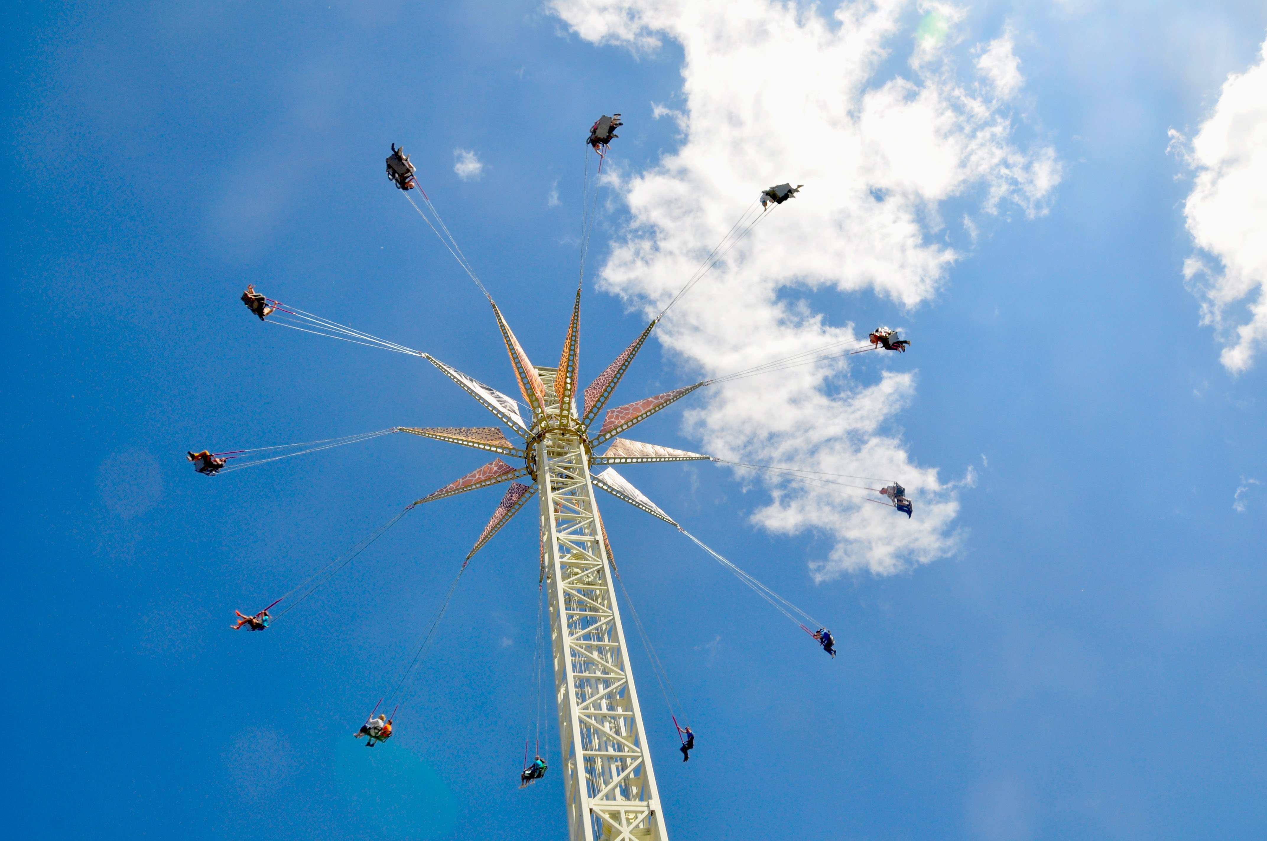 Pterodactyl Flamingo Land Resort